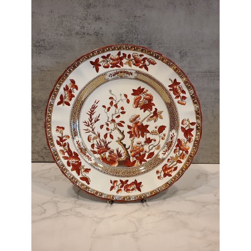 VTG Copeland Spode India Tree Orange Rust 7.½" Scalloped Salad Plate Red Trim